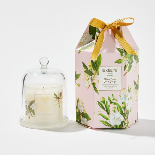 Volcano Flower Blood Orange - Blooms Reed Diffuser x 2 pieces